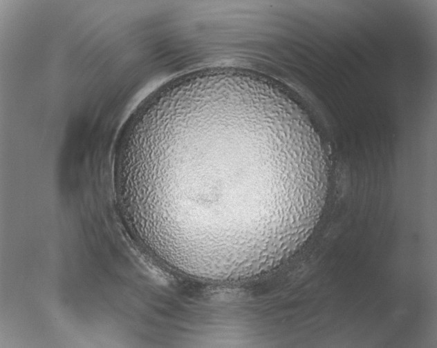 X0000077400886200610272036