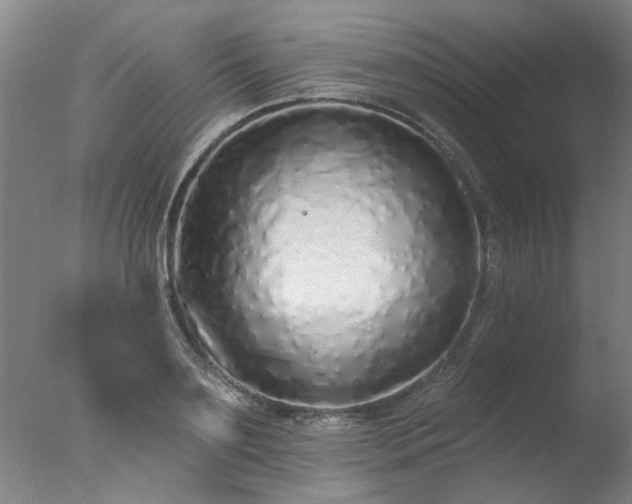 X0000077400891200610272036