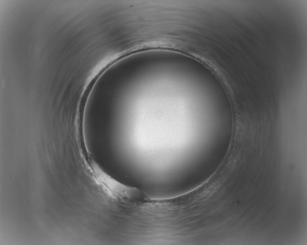 X0000077400902200610272036