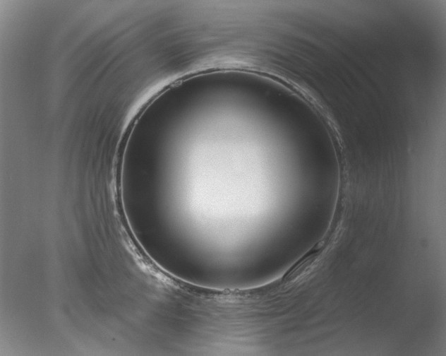 X0000077400904200610272036