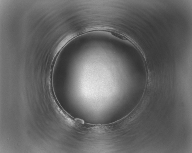 X0000077400906200610272035