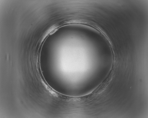 X0000077400909200610272035