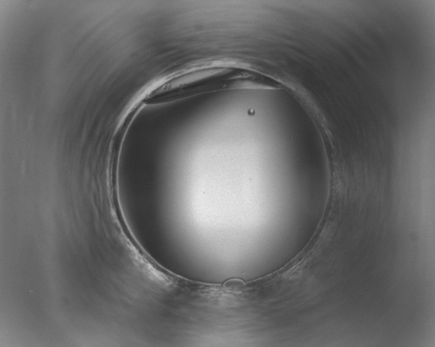 X0000077400910200610272035