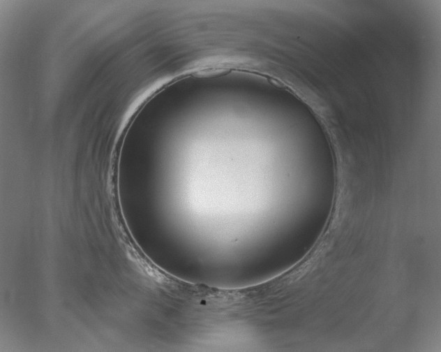 X0000077400912200610272035
