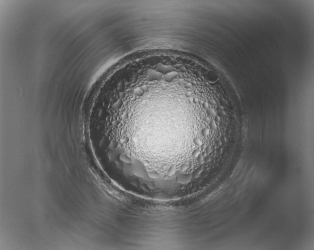 X0000077400925200610272035