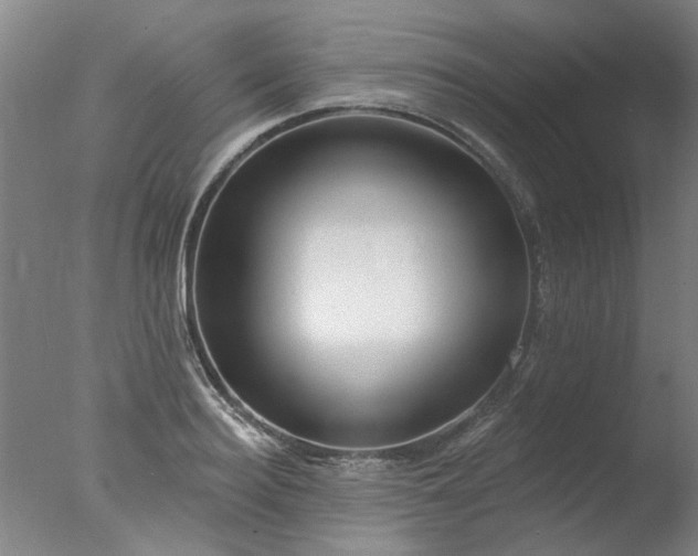 X0000077400940200610272035