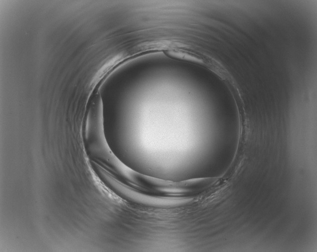 X0000077400946200610272035