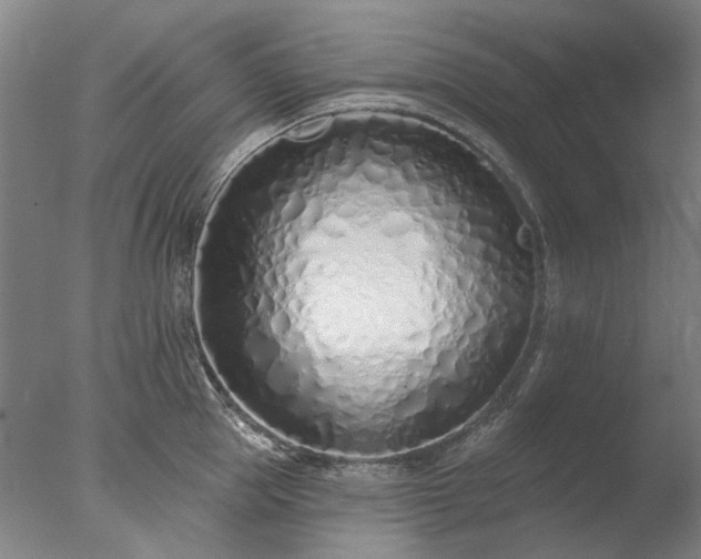 X0000077400953200610272035