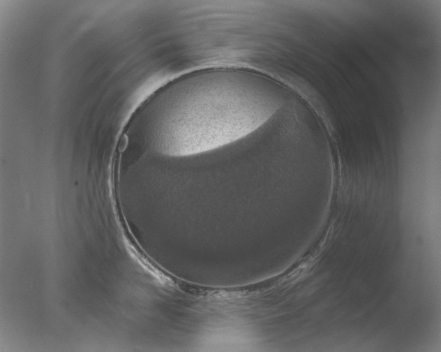 X0000077400958200610272035