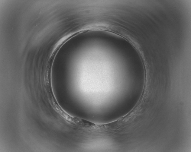 X0000077400960200610272035