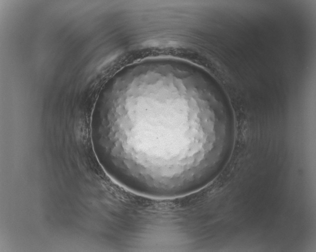 X0000077400966200610272034