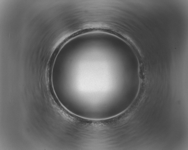 X0000077400983200610272034