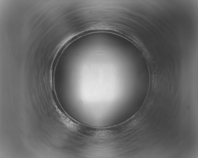 X0000077400988200610272034