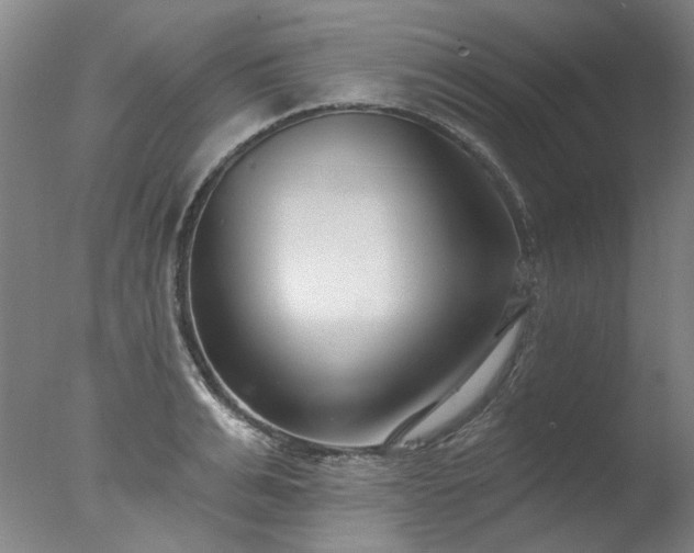 X0000077400991200610272034