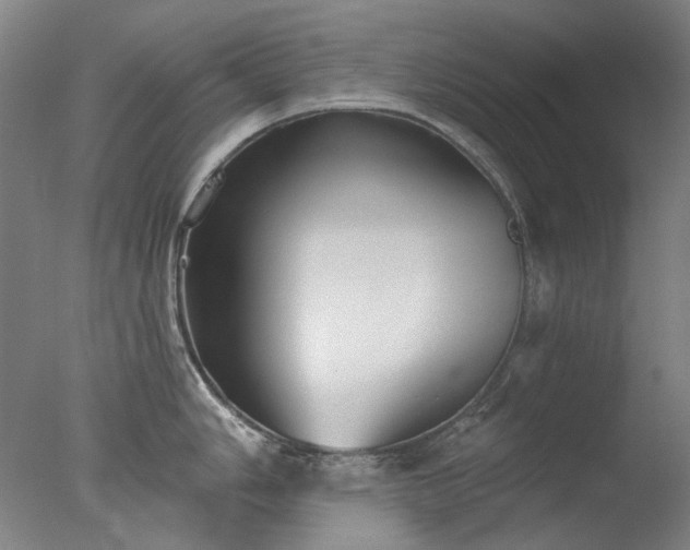 X0000077401006200610272034