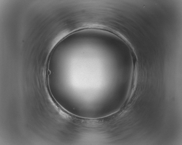 X0000077401007200610272034
