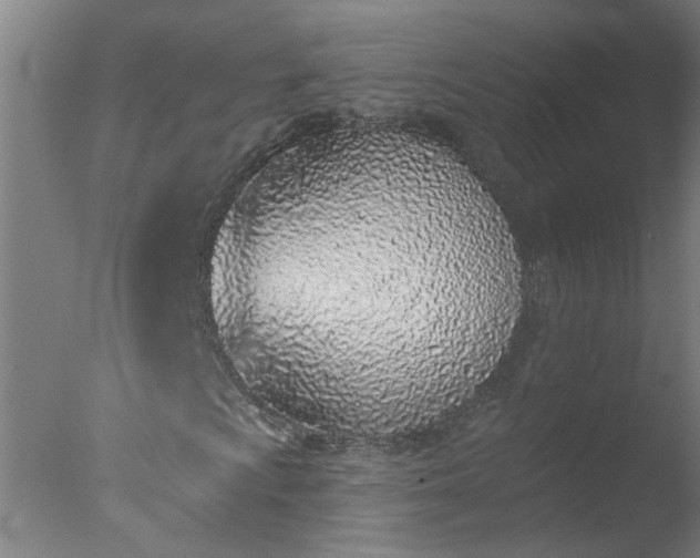 X0000077401009200610272033