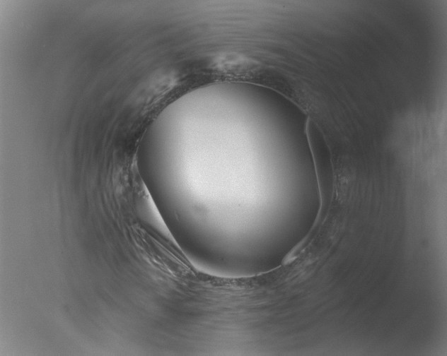 X0000077401010200610272033