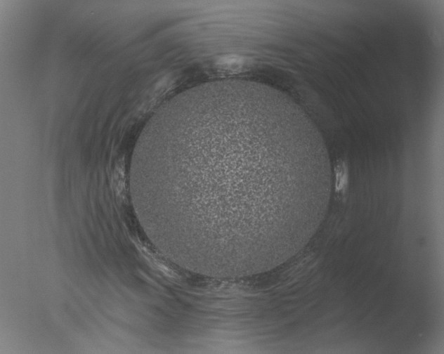 X0000077401011200610272033