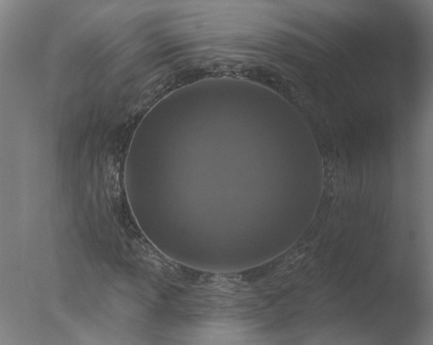 X0000077401013200610272033