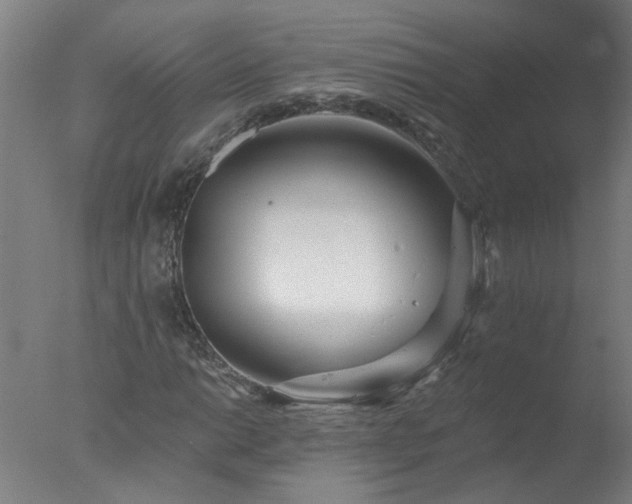 X0000077401014200610272033