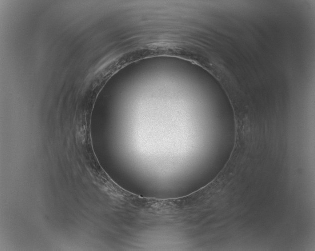 X0000077401015200610272033