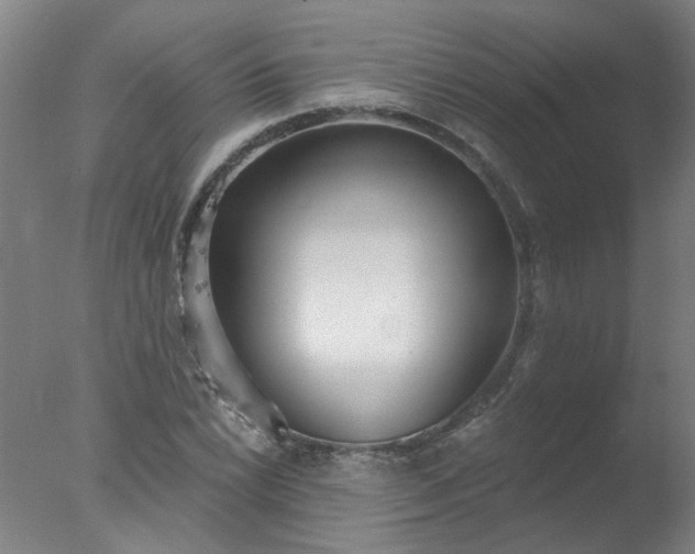 X0000077401022200610272033
