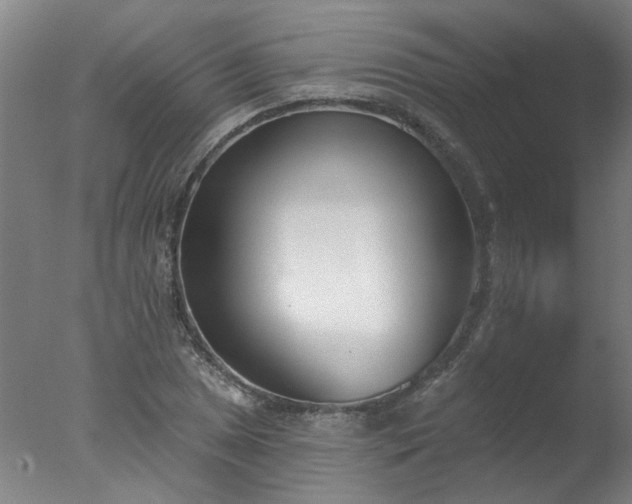 X0000077401025200610272033