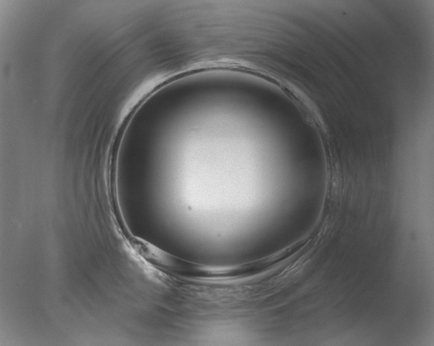 X0000077401054200610272034