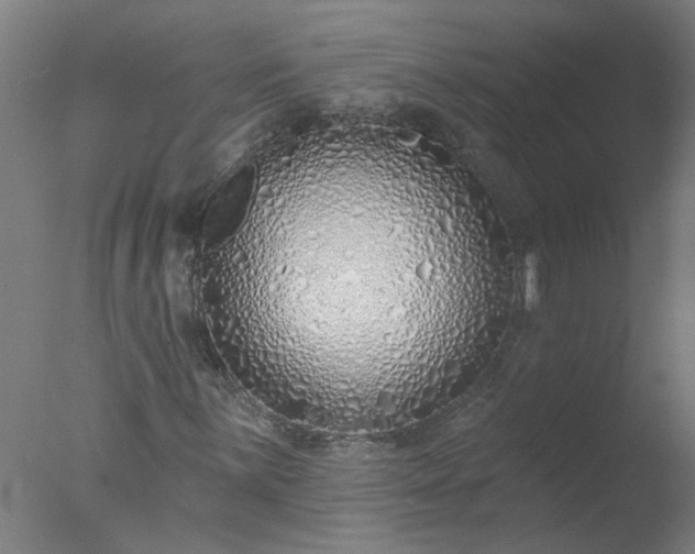 X0000077401059200610272033