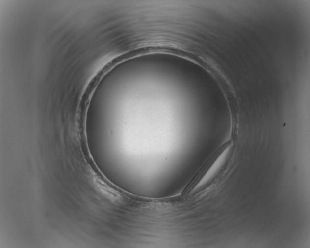 X0000077401068200610272033