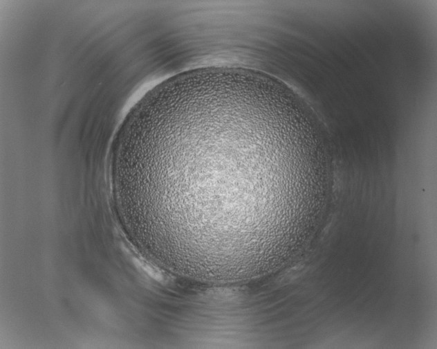 X0000077401078200610272033