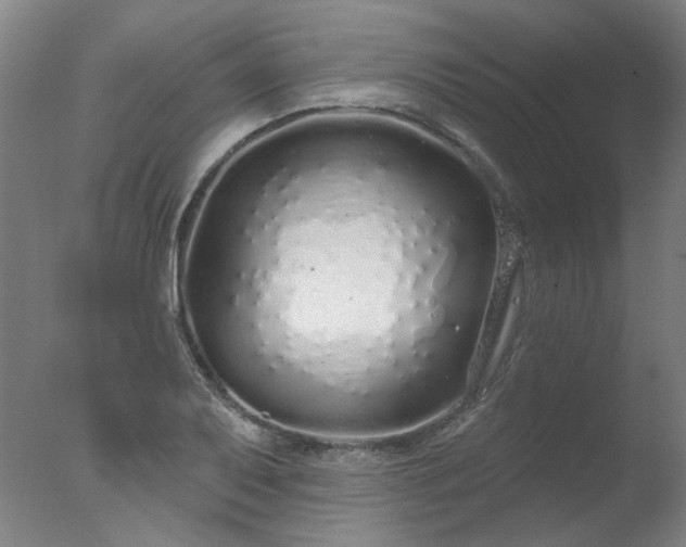 X0000077401079200610272033