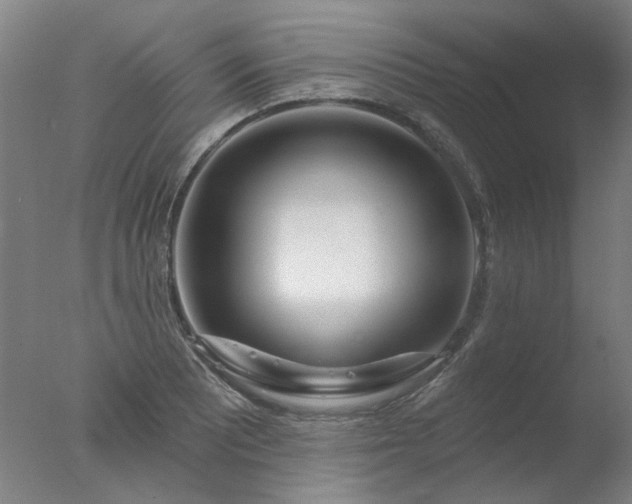 X0000077401081200610272033