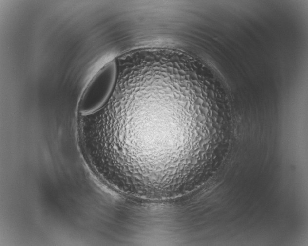 X0000077401087200610272032