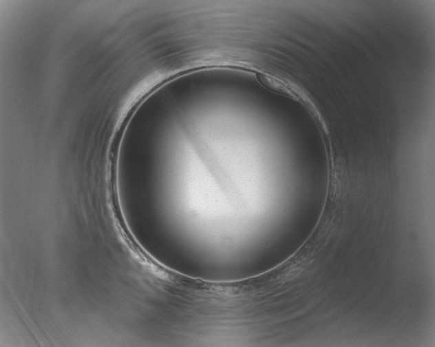 X0000077401096200610272032