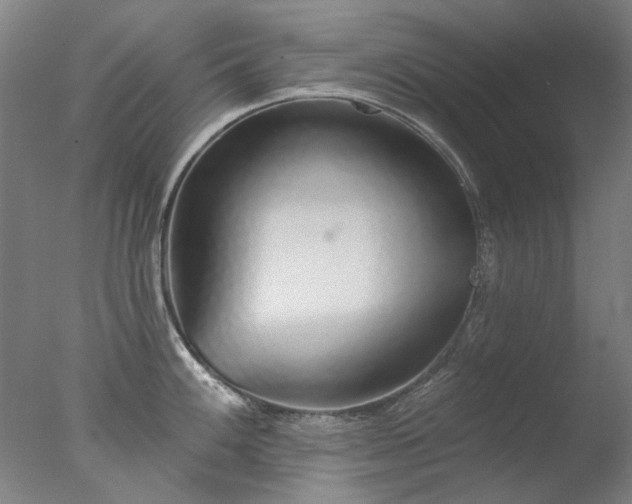 X0000077401100200610272032