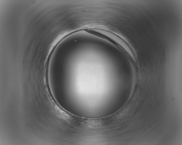 X0000077401102200610272032