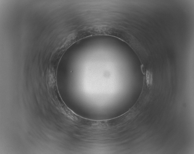 X0000077401107200610272031