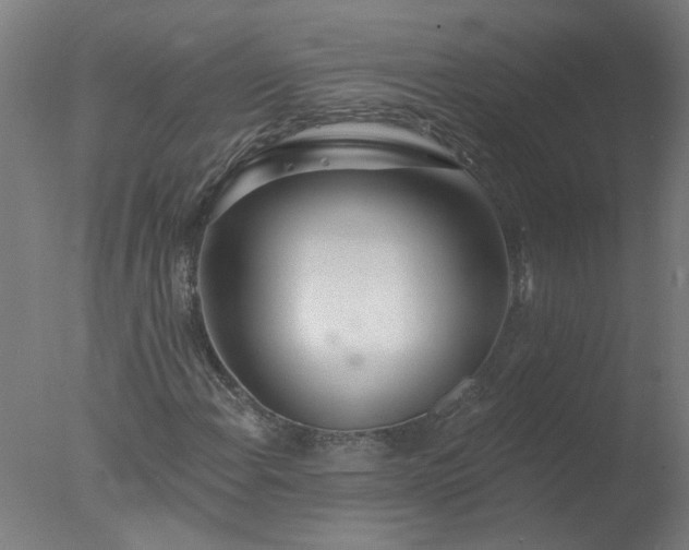 X0000077401108200610272031