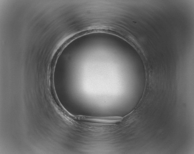 X0000077401124200610272032