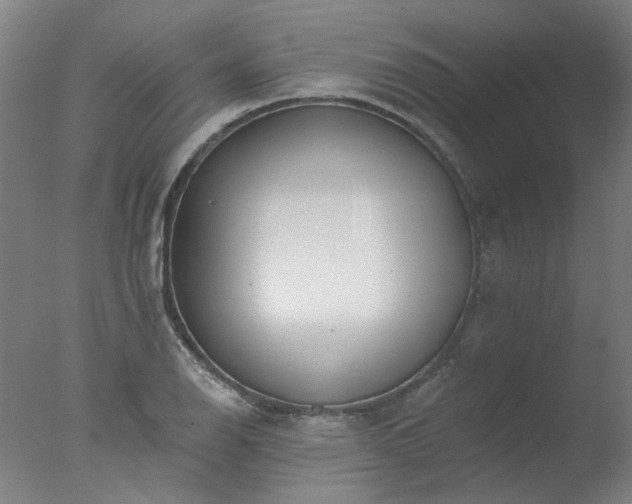 X0000077401126200610272032
