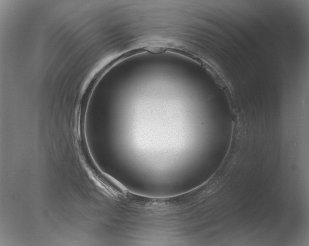 X0000077401128200610272032