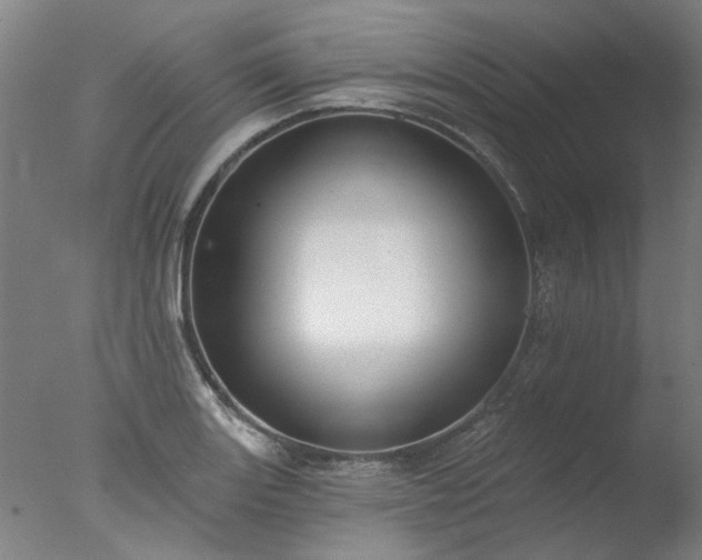 X0000077401131200610272032