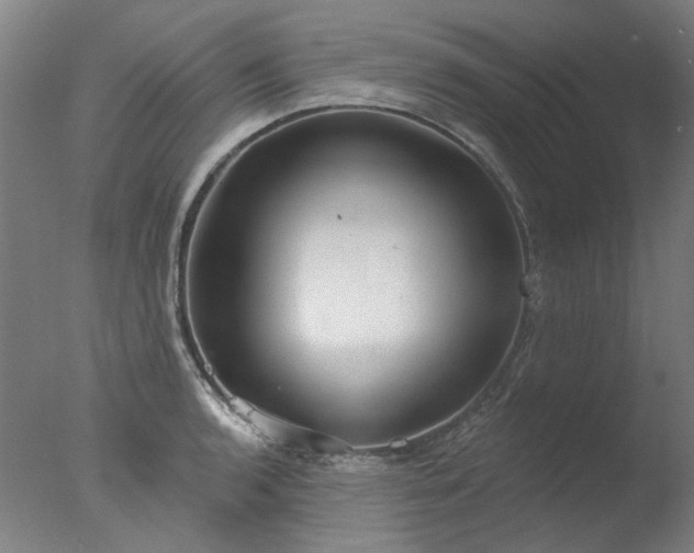 X0000077401136200610272032