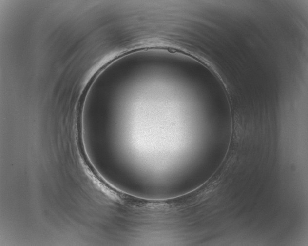 X0000077401142200610272032