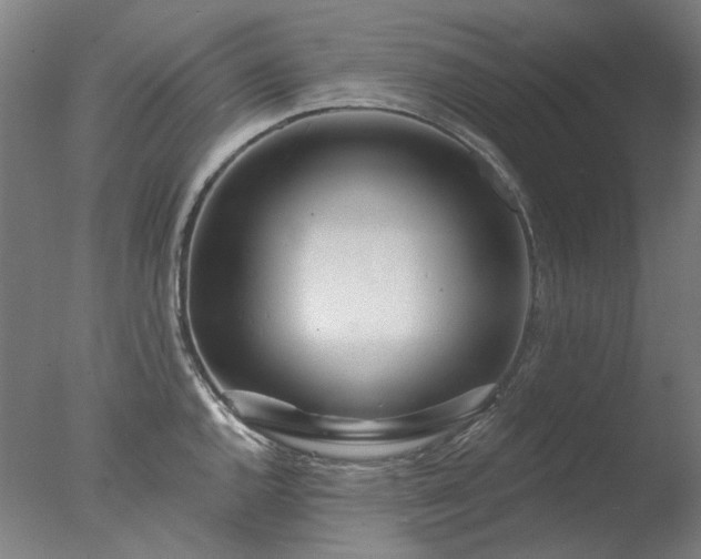 X0000077401144200610272032