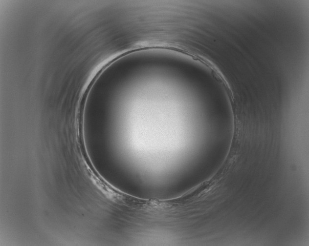 X0000077401148200610272032