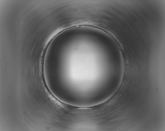 X0000077401151200610272032