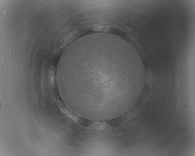 X0000077401154200610272031